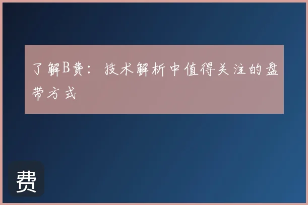 了解B费:技术解析中值得关注的盘带方式